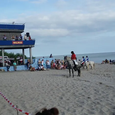 Rosa Canina, W4 Апартаменты