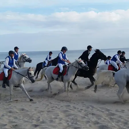 Апартаменты Rosa Canina, W4