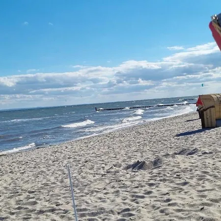 Апартаменты Rosa Canina, W4 *